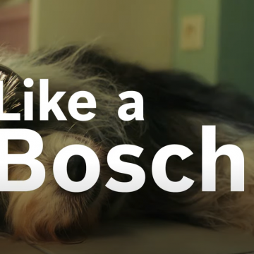 bosch