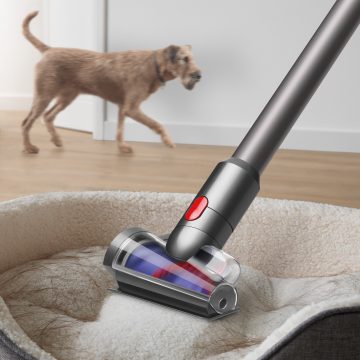 Dyson presenta l’evento Pet Science