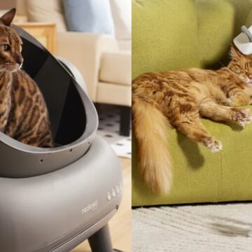 Nital distribuisce Neakasa: il Pet care diventa hi-tech